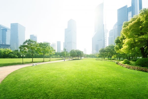 Commercial Landscape Maintenance in Yakima