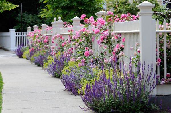 Garden Handyman Service in Yakima