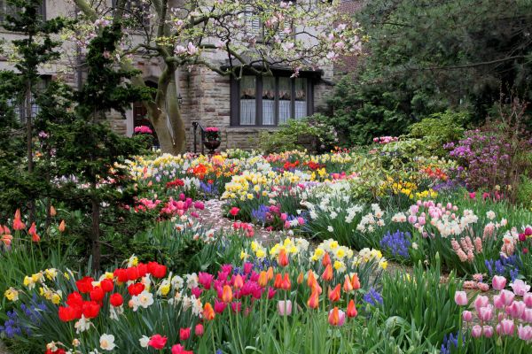 Garden Maintenance Service in Yakima