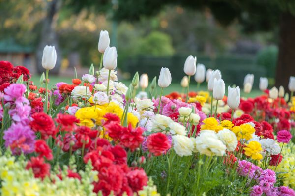 Gardening Service in Yakima