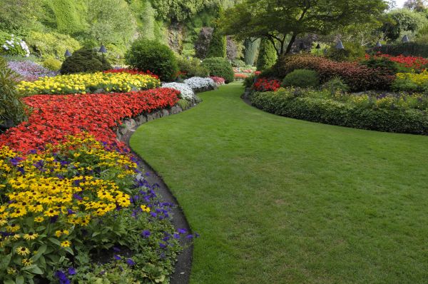 Landscaping Maintenance in Yakima