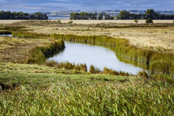 Swale Landscaping in Yakima