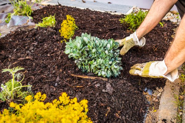 Weeding And Mulching in Yakima