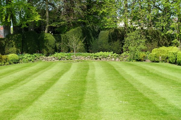 Lawn Renovation in Yakima