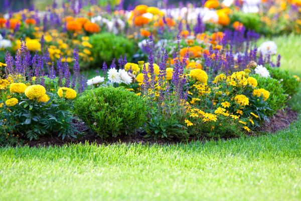 Garden Installation in Yakima