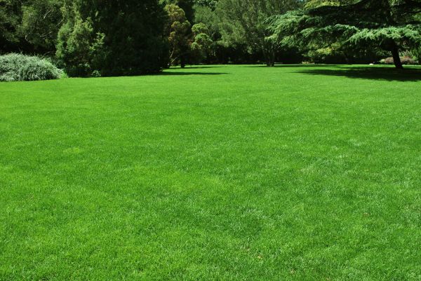 Lawn Landscaping in Yakima