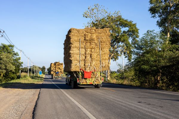 Pine Straw Delivery in Yakima
