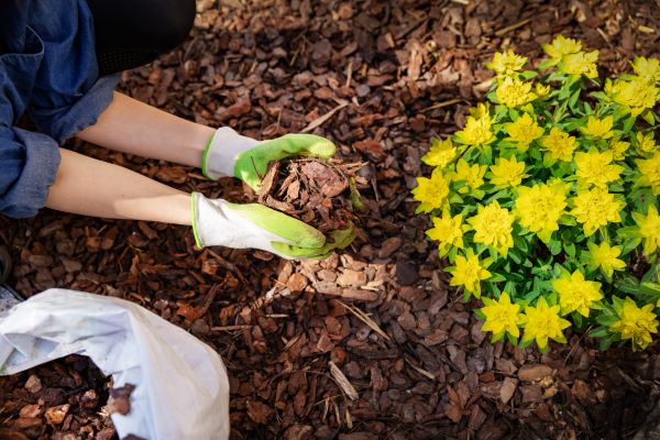 Garden Mulching in Yakima