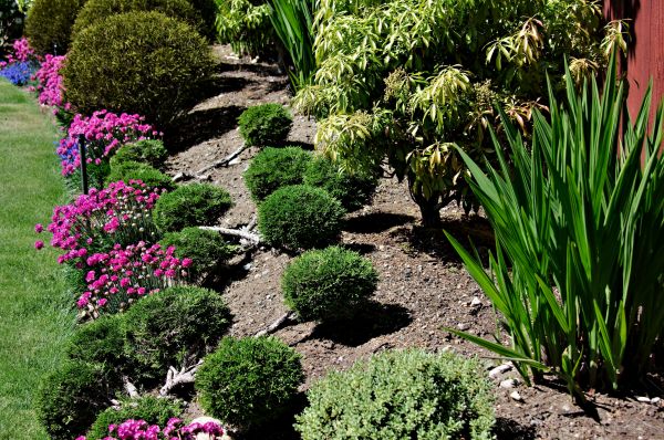 Residential Gardening in Yakima