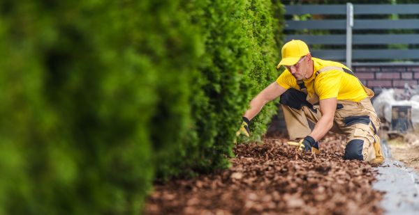 Cypress Mulch Installation in Yakima