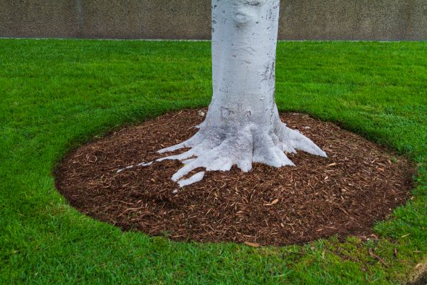 Brown Mulch Installation in Yakima