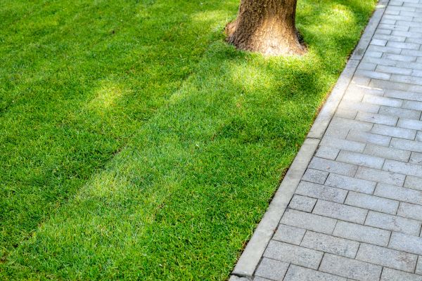 Border Stone Installation in Yakima