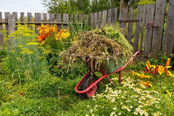 Garden Cleanup Service in Yakima