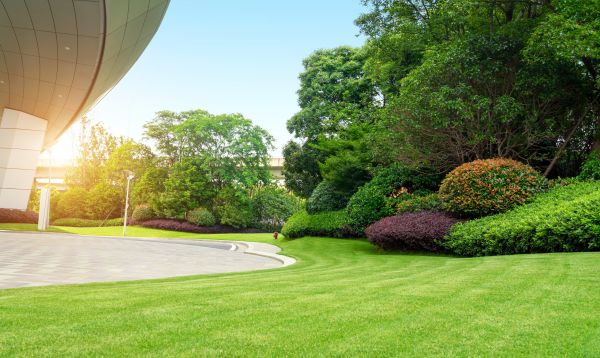 Business Landscape Design in Yakima