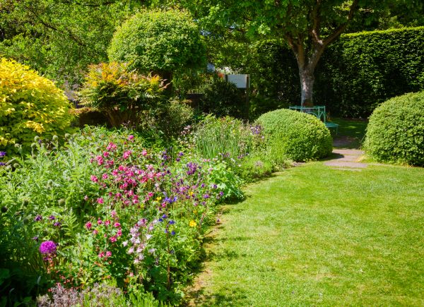 Yard Landscaping Service in Yakima