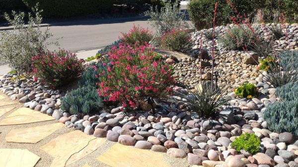 Xeriscape Landscaping in Yakima