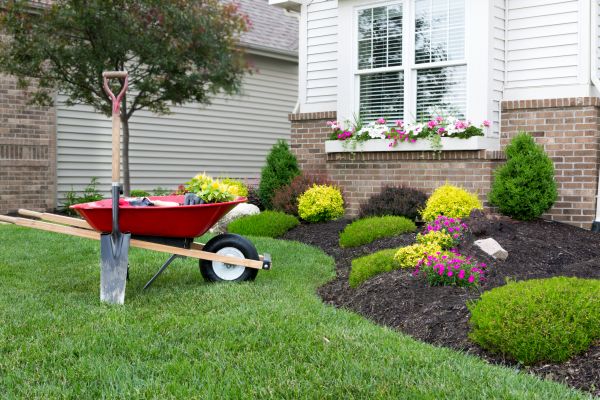 Tree And Shrub Planting in Yakima