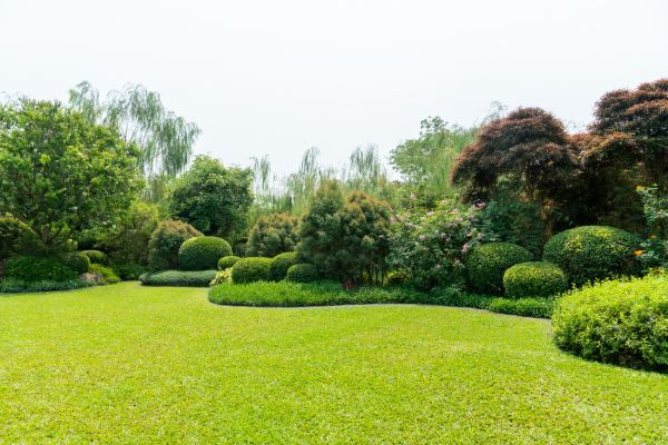 Tree Landscaping in Yakima