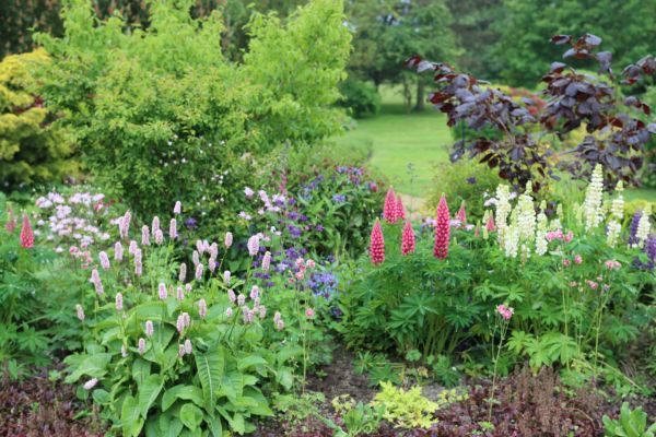 Flower Bed Planting in Yakima