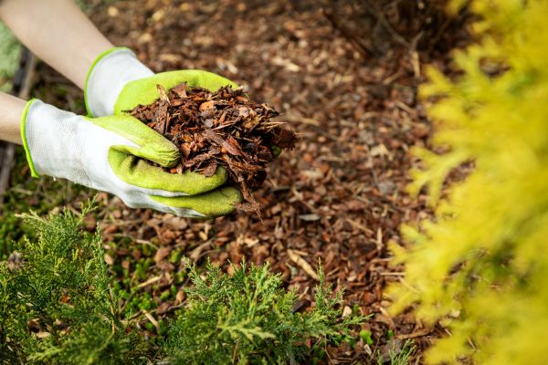 Garden Mulch Delivery in Yakima