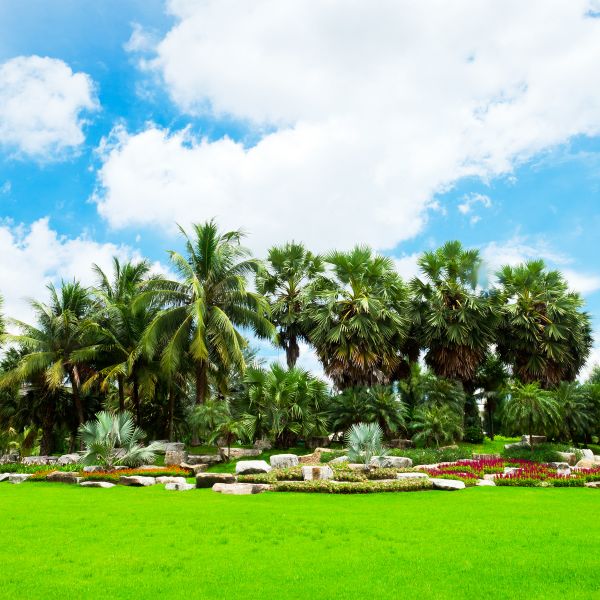 Tropical Landscaping in Yakima