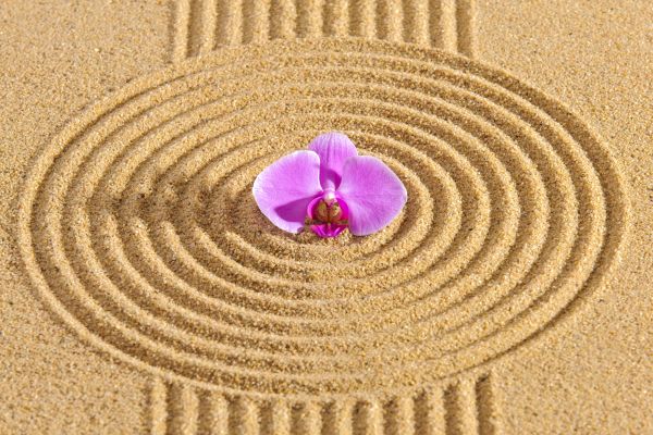 Sand Garden Landscaping in Yakima