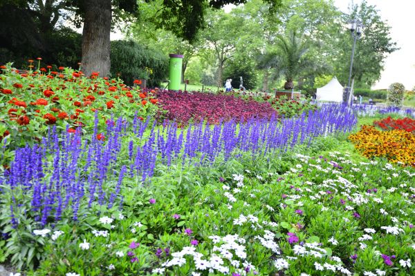 Perennials Planting in Yakima