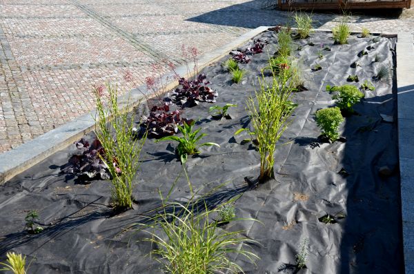 Landscape Fabric Installation in Yakima