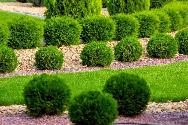 Bush Installation in Yakima