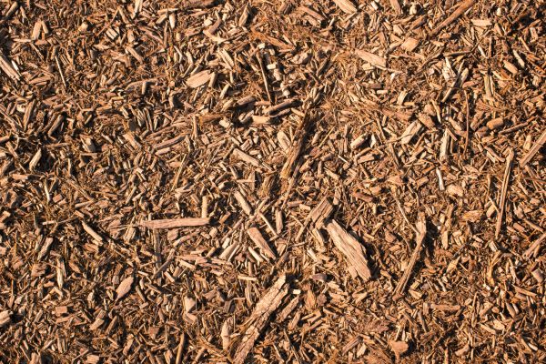 Wood Chips Removal in Yakima