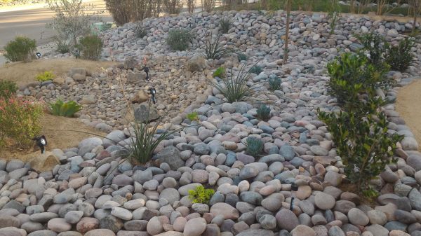 Yard Xeriscaping in Yakima