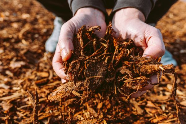 Bark Chips Delivery in Yakima