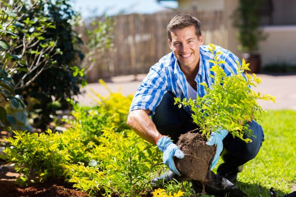 Shrub Landscaping in Yakima