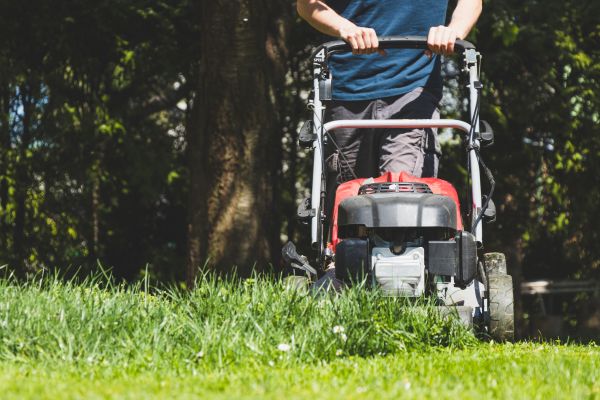 Garden Trimming Service in Yakima