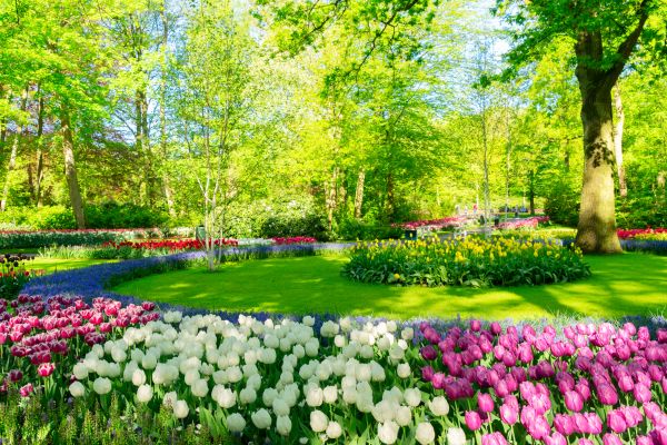 Flower Landscaping in Yakima