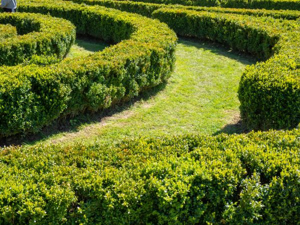 Bush Landscaping in Yakima