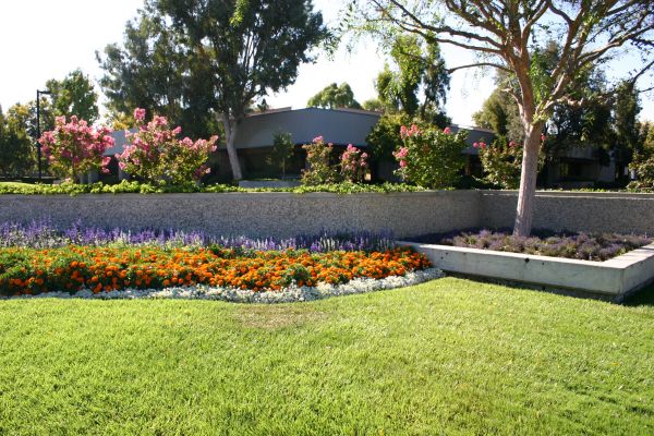 Commercial Landscape Service in Yakima