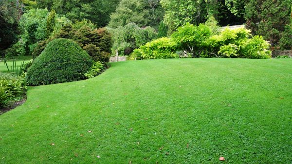 Commercial Landscape Design in Yakima