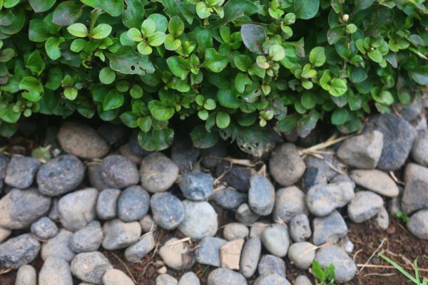 River Stone Installation in Yakima
