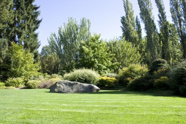Yard Enlargement in Yakima