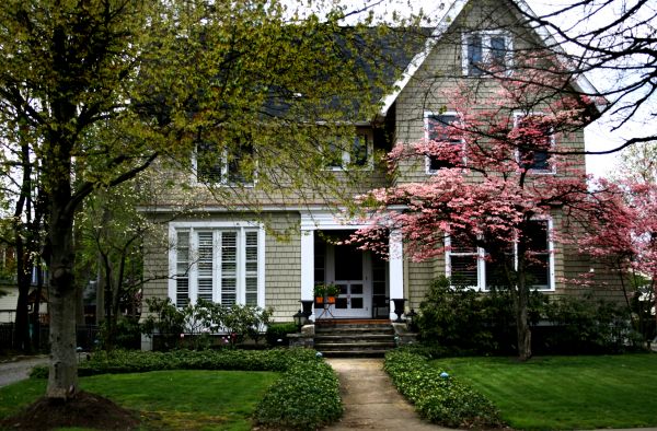 Ornamental Tree Planting in Yakima