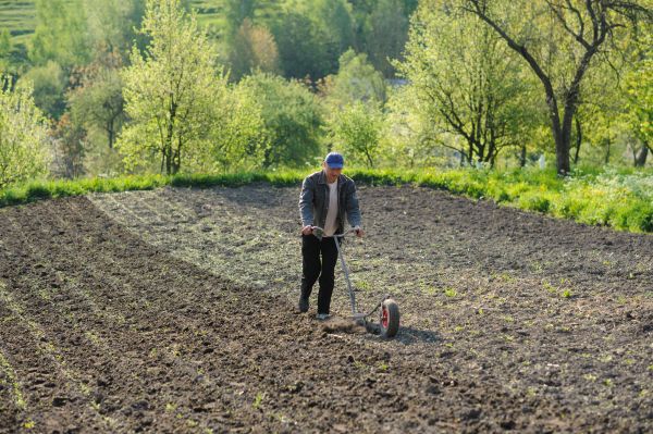 Plant Bed Weeding in Yakima