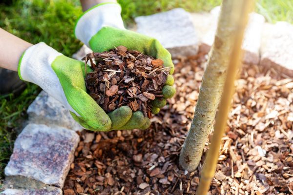 Tree Bark Delivery in Yakima