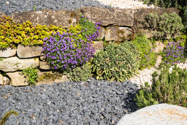 Landscaping Rocks Installation in Yakima