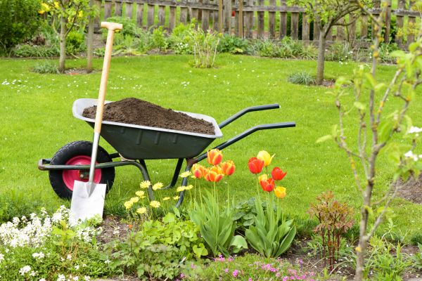 Spring Yard Renovation in Yakima
