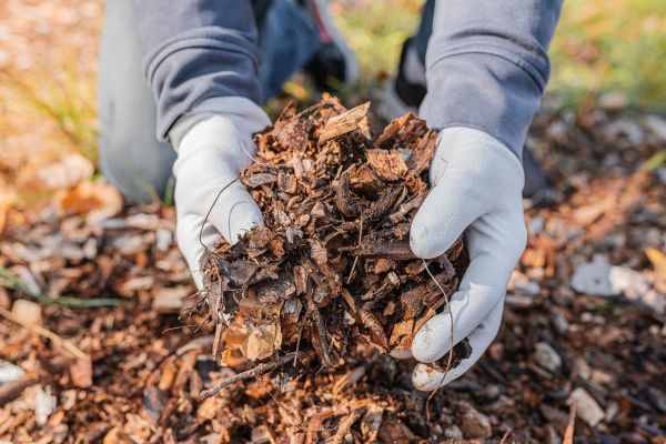 Shredded Mulch Installation in Yakima