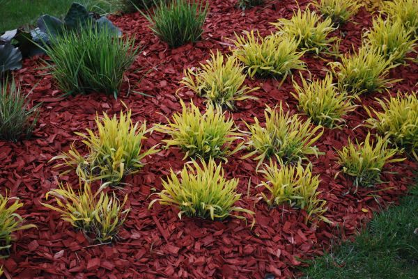 Red Mulch Installation in Yakima