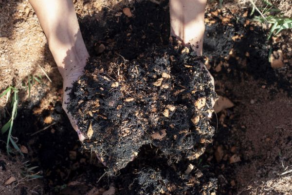 Organic Mulch Installation in Yakima