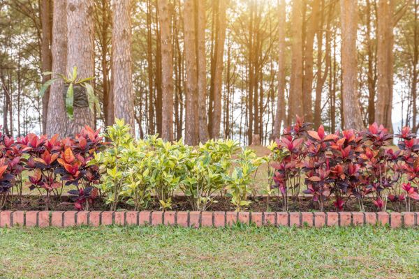 Small Garden Landscaping in Yakima