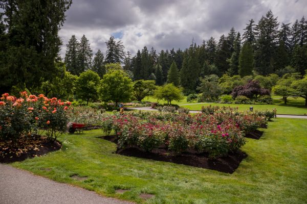 Flower Garden Landscaping in Yakima